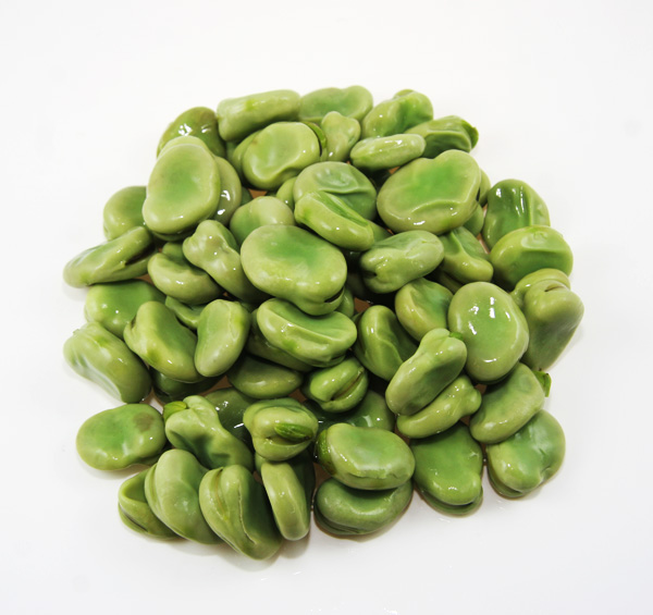 broad bean